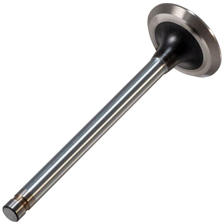 V1261 Exhaust Valve