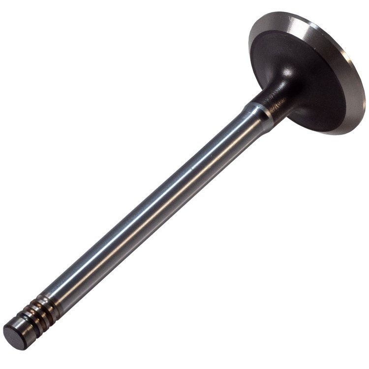 V1269 Stock Replacement Exhaust Valve