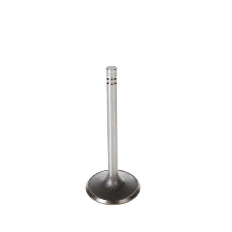 V1282 Stock Replacement Intake Valve