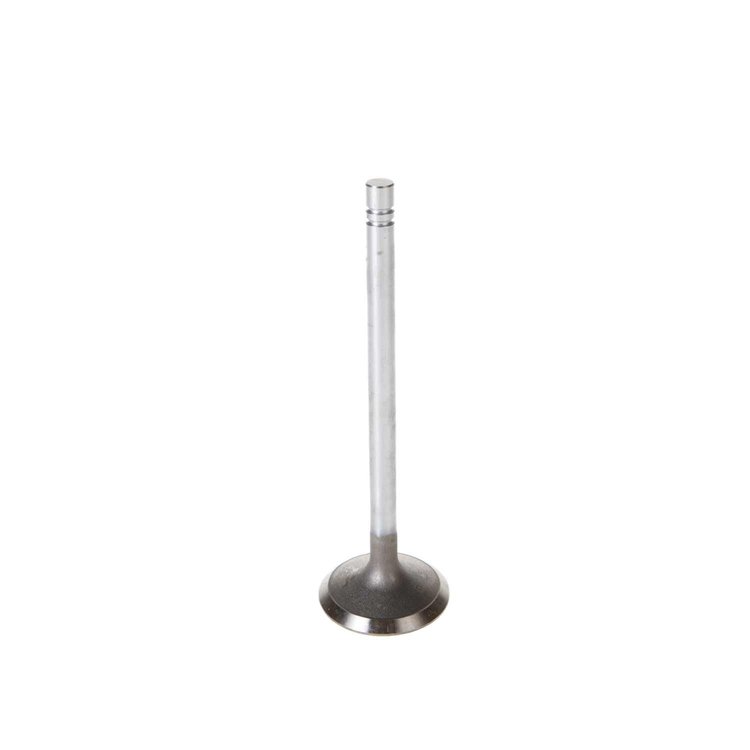 V1289 Intake Valve