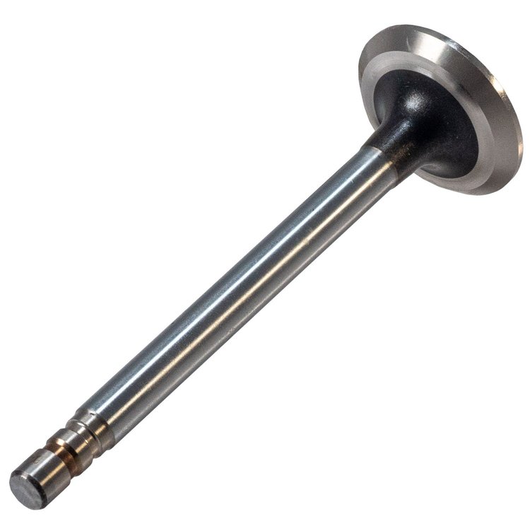V1294 Exhaust Valve