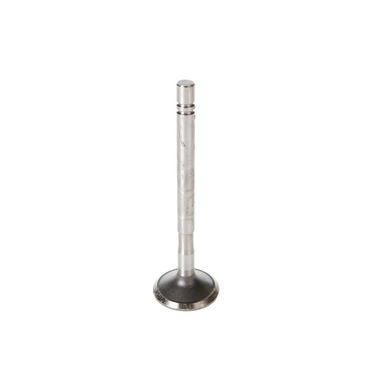 V1308 Stock Replacement Exhaust Valve