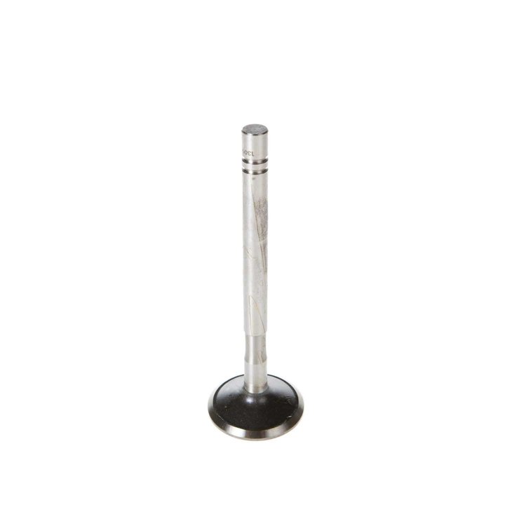 VALVE-EXHAUST
