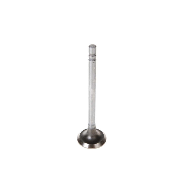 V1361 Stock Replacement Exhaust Valve
