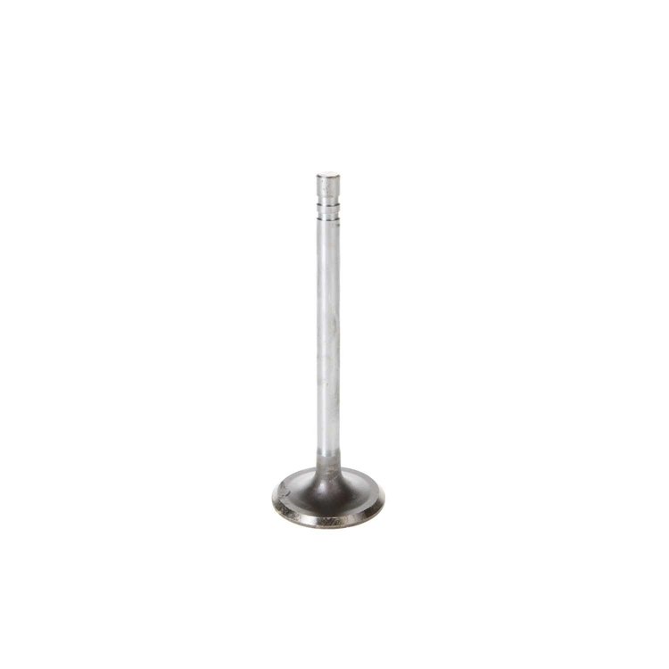 V1362 Stock Replacement Intake Valve