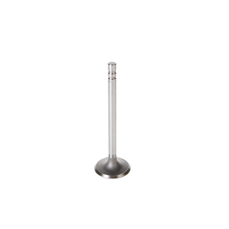 V1372 Stock Replacement Intake Valve
