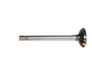 V1417 Exhaust Valve