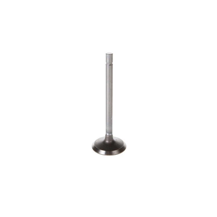 V1449 Stock Replacement Intake Valve