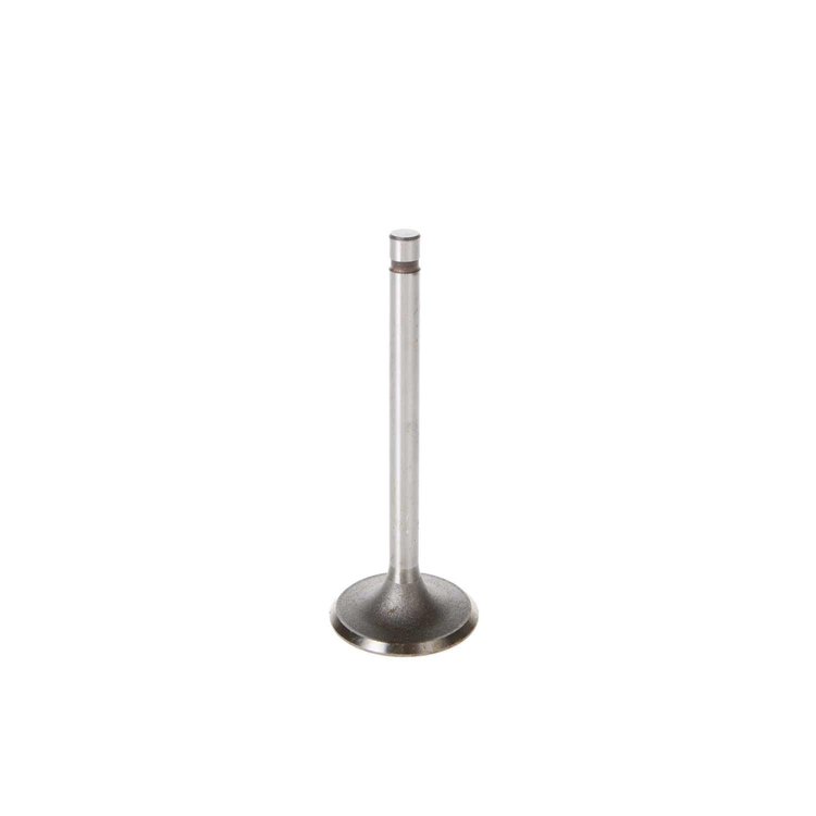 V1450 Stock Replacement Intake Valve