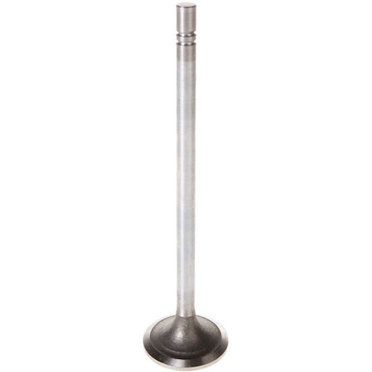 V1462 Intake Valve