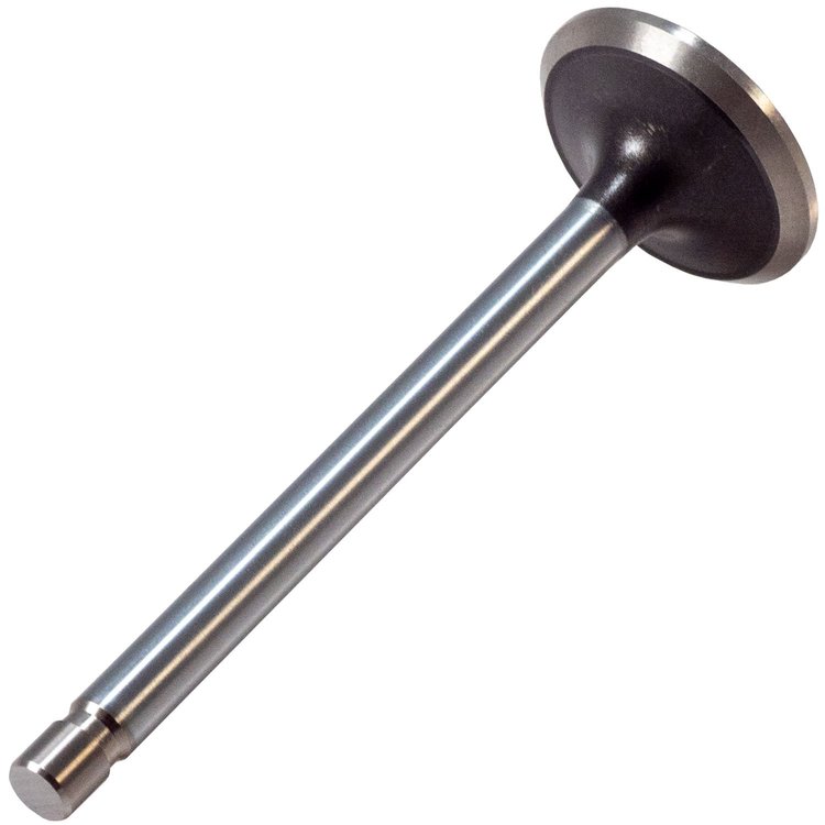 V1504 Stock Replacement Exhaust Valve