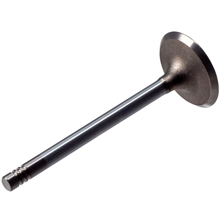 V1536 Stock Replacement Intake Valve
