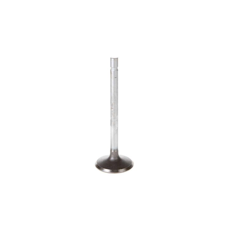 V1541 Stock Replacement Intake Valve