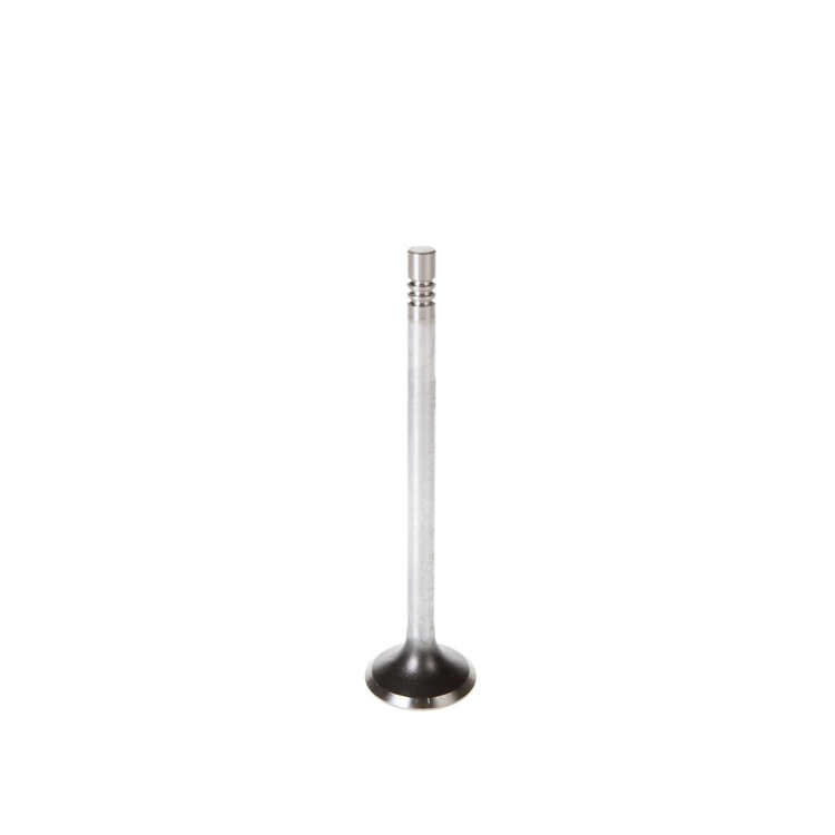 V1545 Exhaust Valve