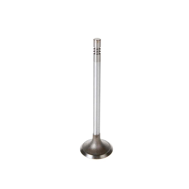 VALVE-INTAKE