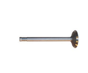 V1552 Exhaust Valve