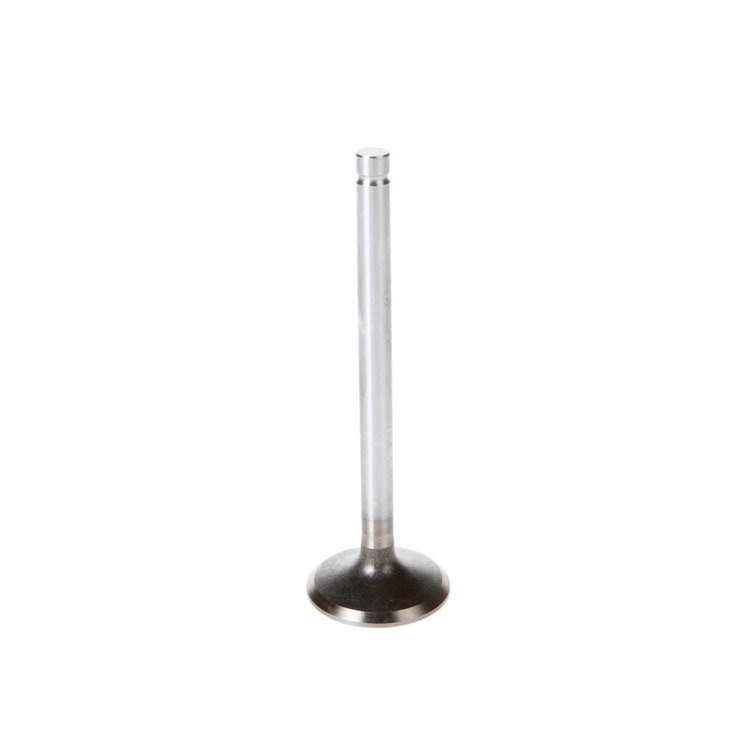 V1559 Stock Replacement Intake Valve