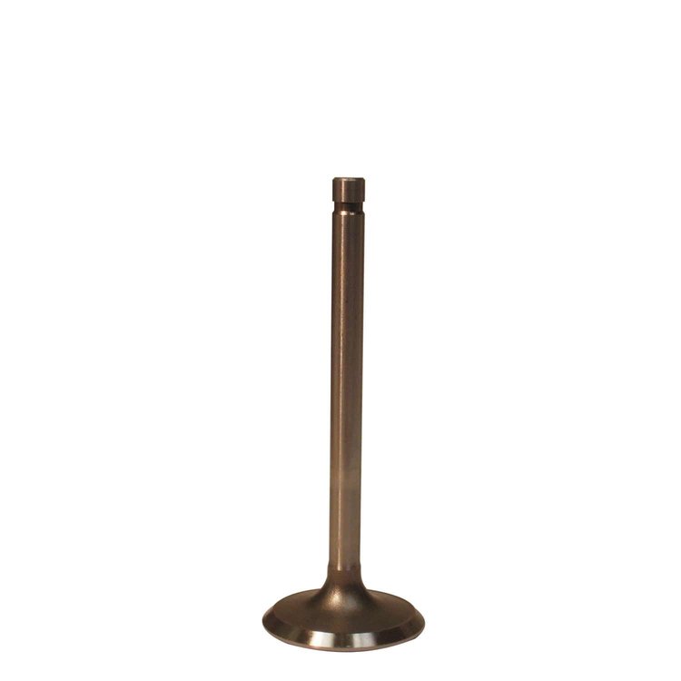 V1568 Exhaust Valve