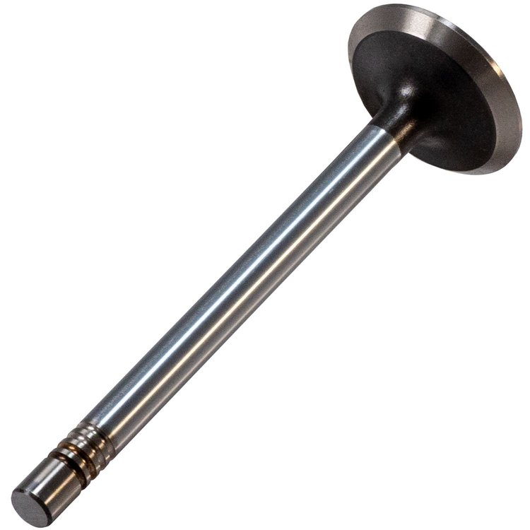 V1597 Stock Replacement Exhaust Valve Ford, Mercury 2.3L, 2.5L
