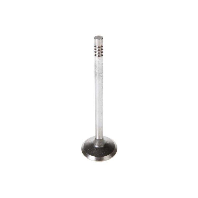 V1670 Stock Replacement Exhaust Valve