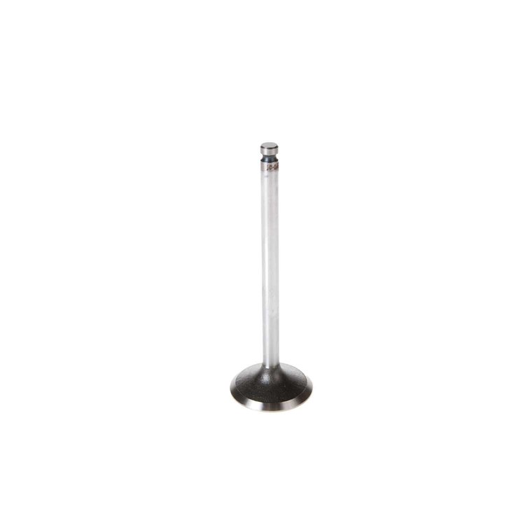 V1673 Stock Replacement Intake Valve