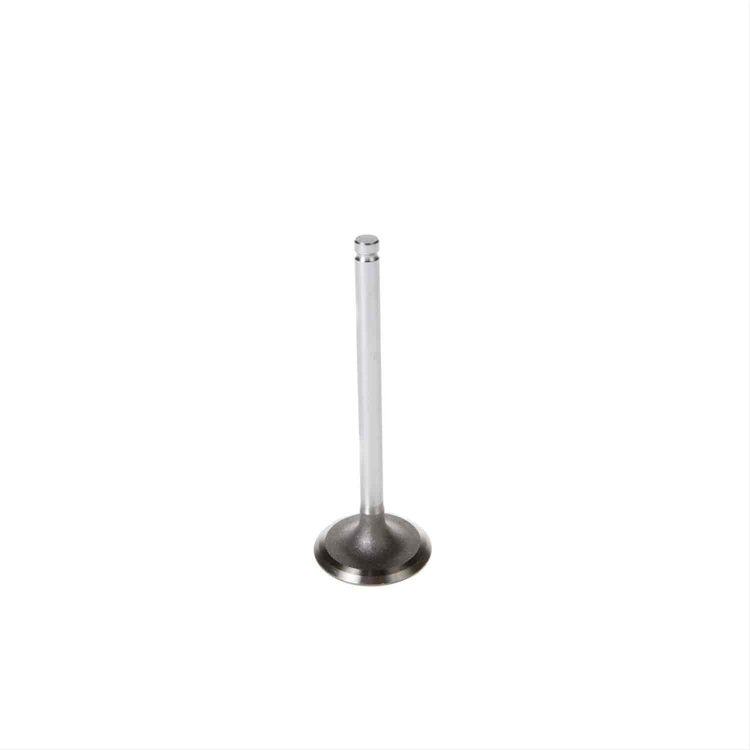 VALVE-INTAKE