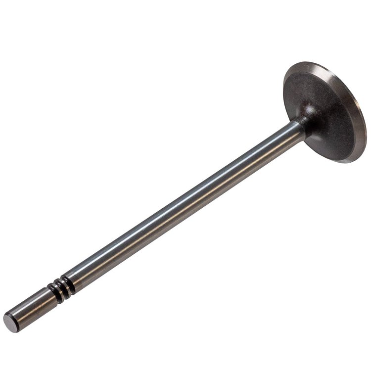 V1709 Stock Replacement Intake Valve Ford, Lincoln, Mercury 4.6L, 5.4L