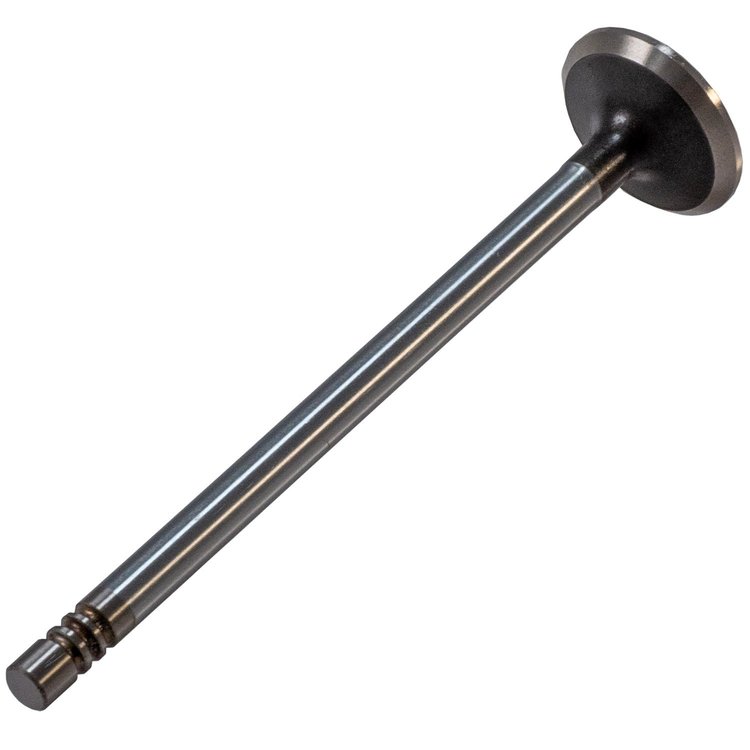 V1713 Exhaust Valve