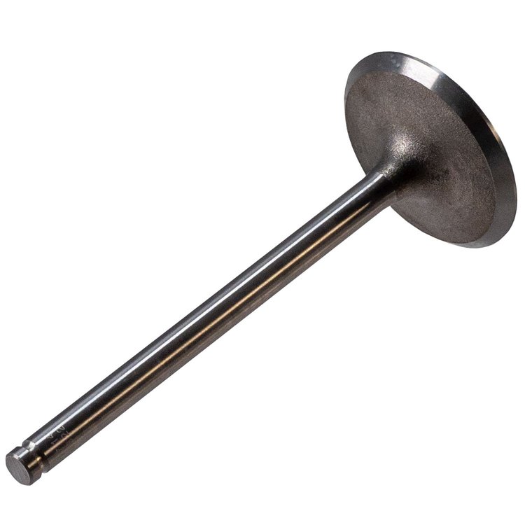 V1714 Intake Valve