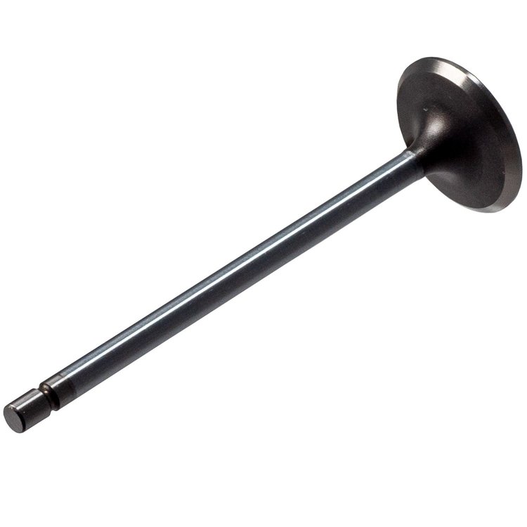 V1741 Stock Replacement Intake Valve