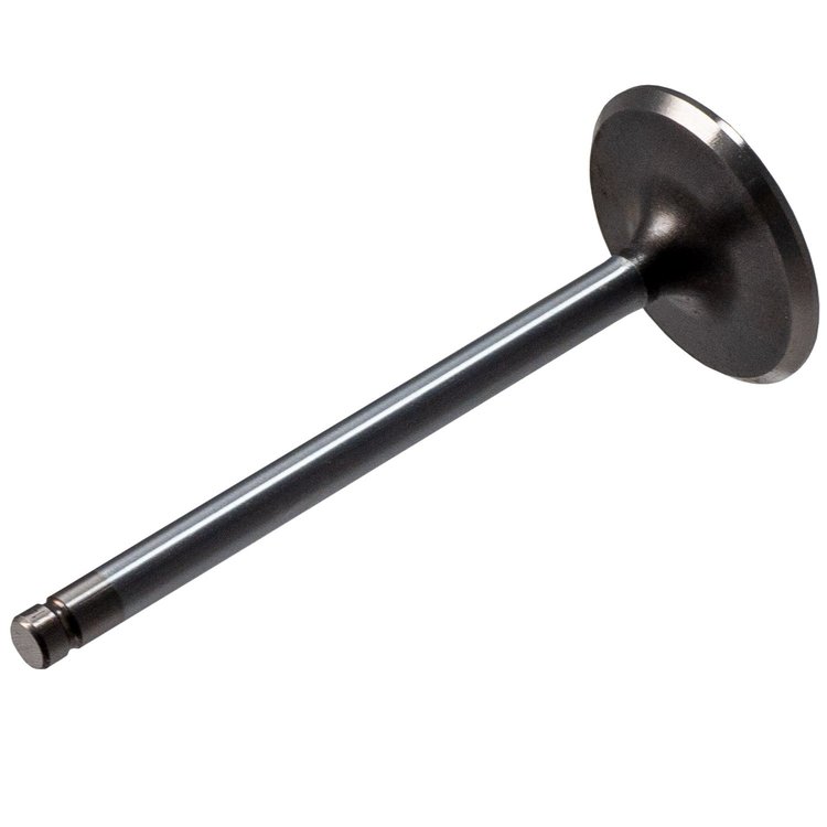V1858 Stock Replacement Intake Valve