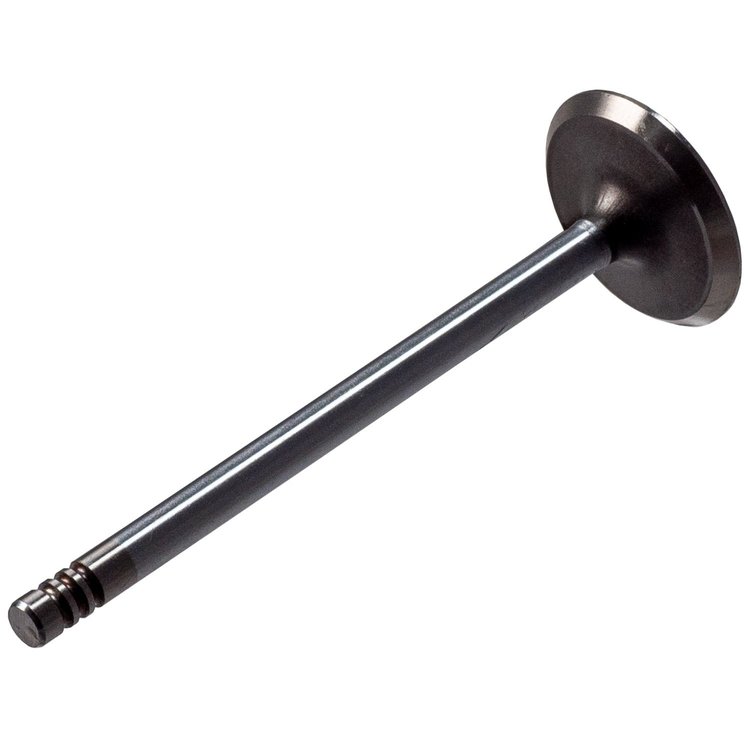 V1901 Stock Replacement Intake Valve