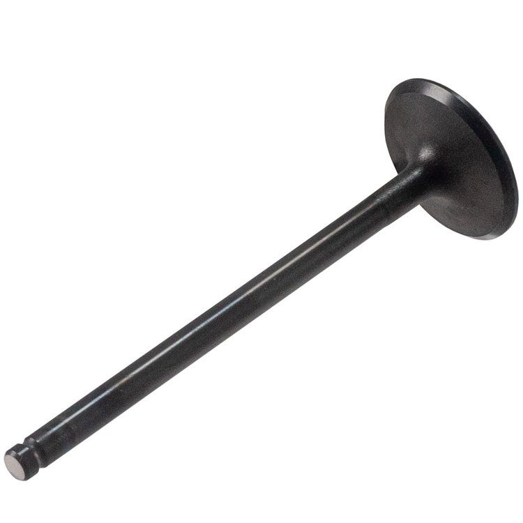 V3038 Stock Replacement Intake Valve Kia 1.6L