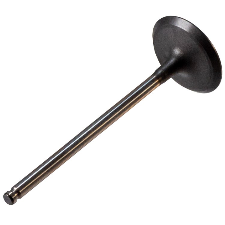 V3088 Stock Replacement Intake Valve Toyota 4.0L