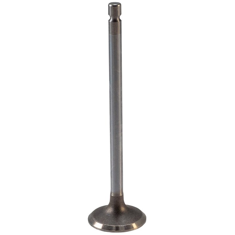V3161 Stock Replacement Exhaust Valve Ram 6.7L