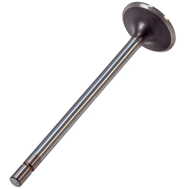 V3182 Stock Replacement Intake Valve Ford 6.4L