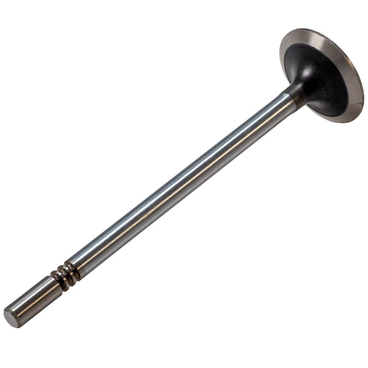 V3265 Stock Replacement Intake Valve Ford 6.7L