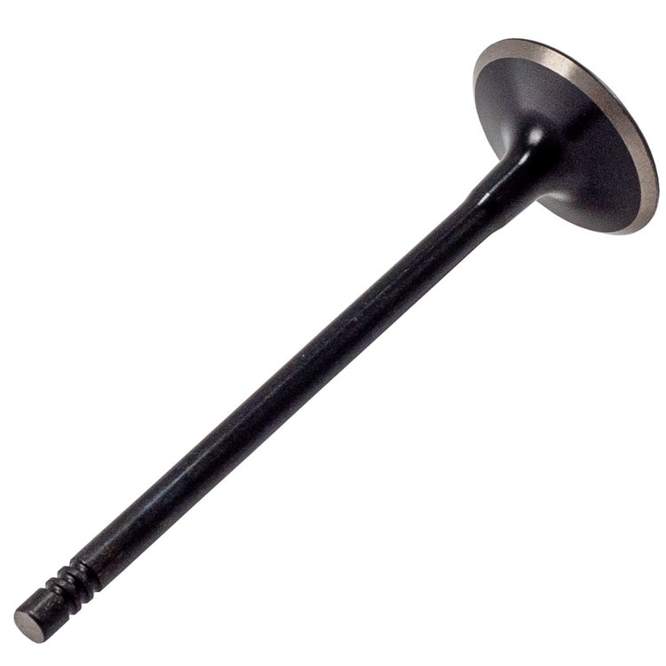 V3367 Stock Replacement Intake Valve