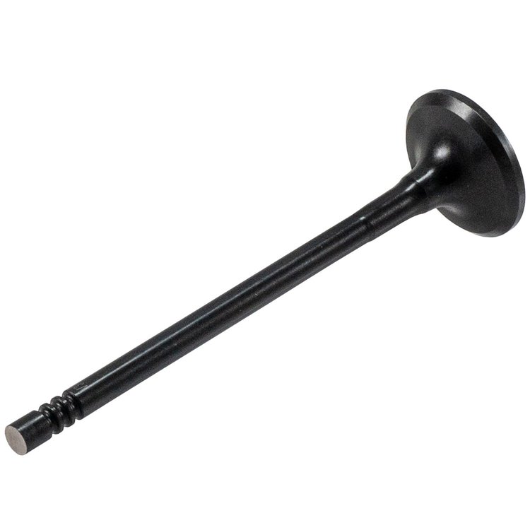 V3462 Stock Replacement Exhaust Valve