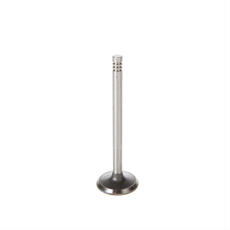 VALVE-INTAKE