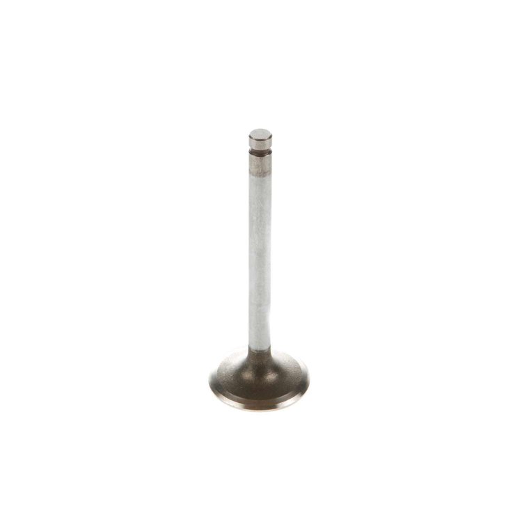 V5031 Stock Replacement Intake Valve