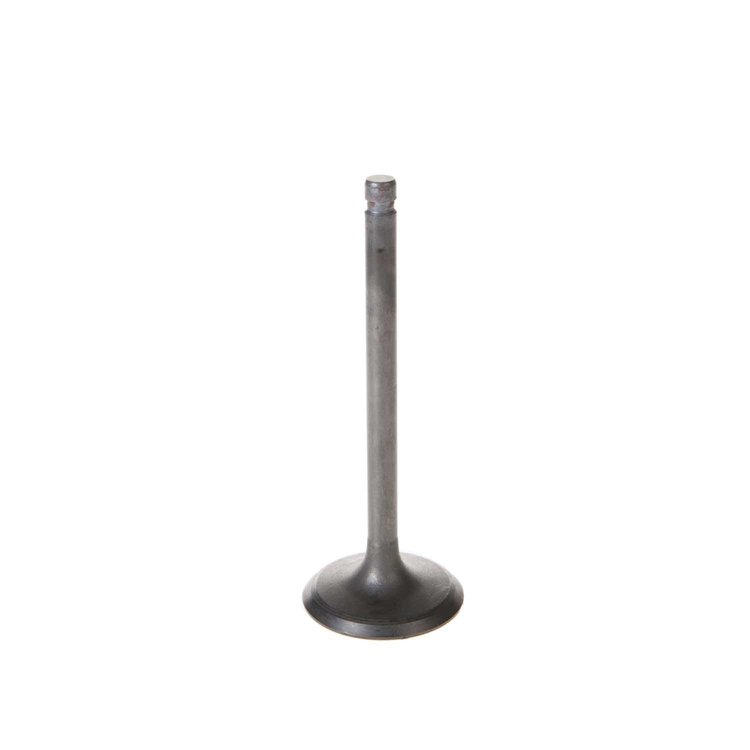 V5048 Stock Replacement Intake Valve