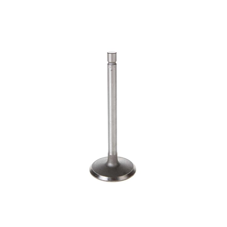 V5061 Stock Replacement Intake Valve