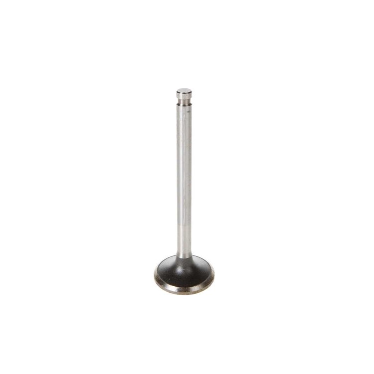 V5064 Stock Replacement Exhaust Valve