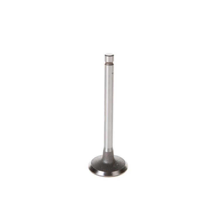 V5066 Stock Replacement Intake Valve