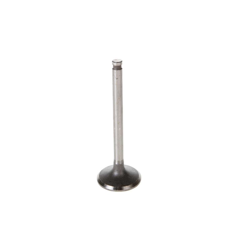V5076 Stock Replacement Intake Valve