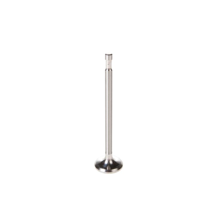 V5081 Stock Replacement Exhaust Valve