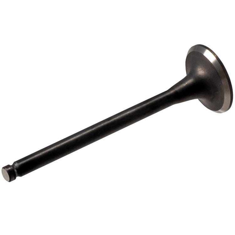 V5097 Stock Replacement Exhaust Valve