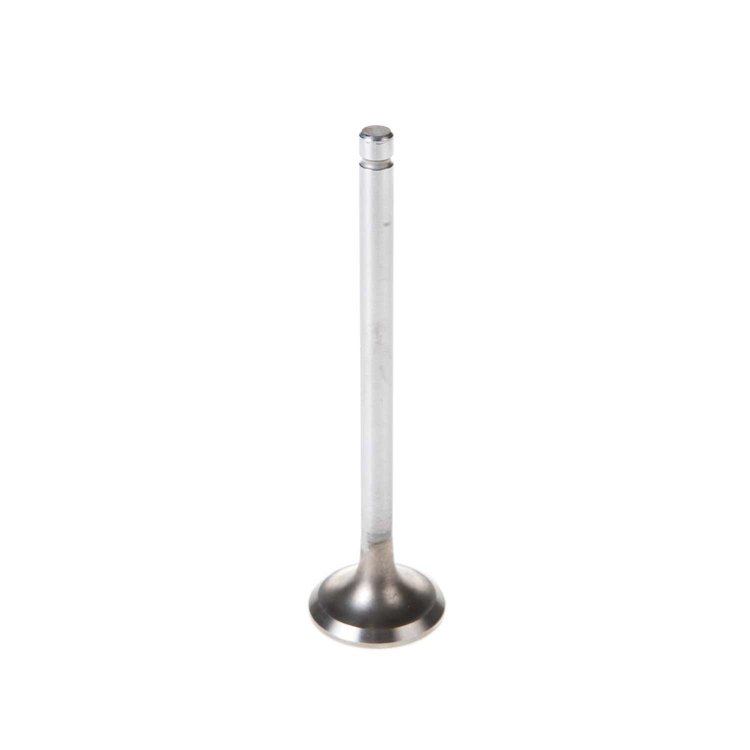 V5113 Stock Replacement Exhaust Valve