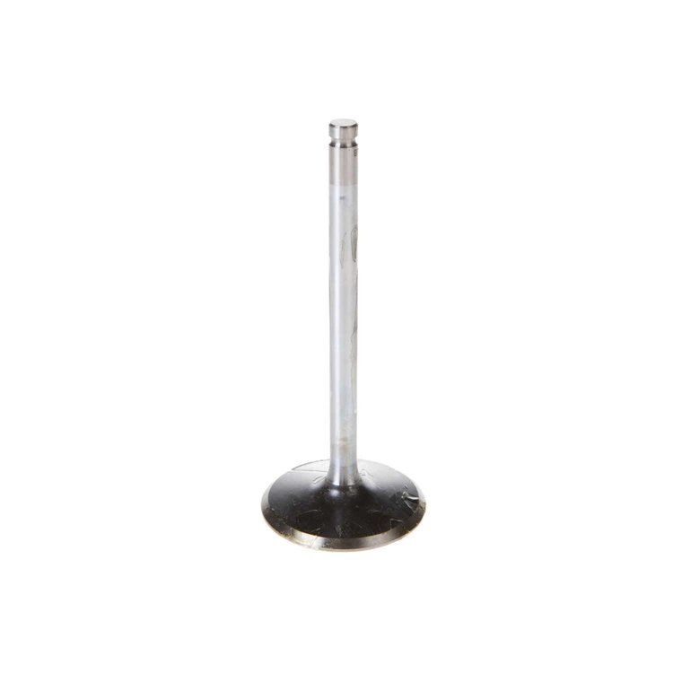V5117 Stock Replacement Intake Valve